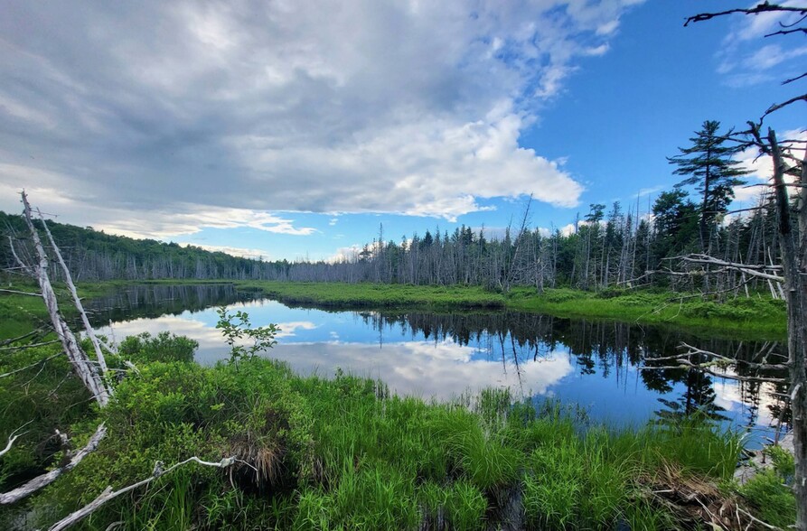 Primary Photo Of undisclosed, New York Land For Lease