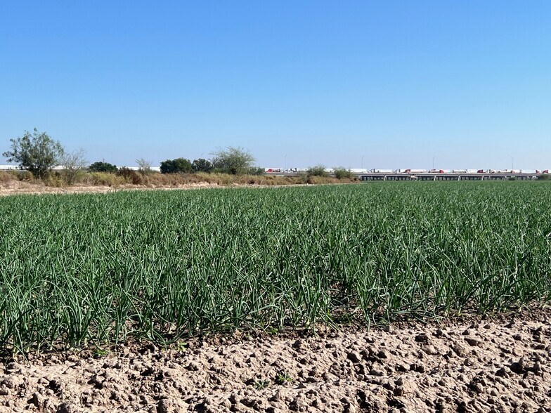 More Photos Of 271.62 Acs on West side of Pharr Intl. Bridge, Pharr Land For Sale