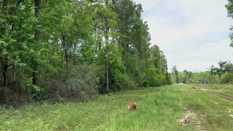 More Photos Of 0 Wilmer, Wilmer Land For Sale