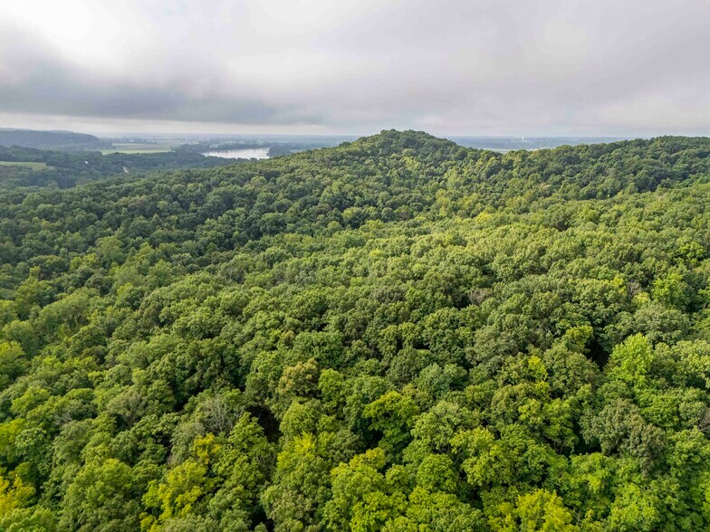 More Photos Of Talley Rd, Hartsburg Land For Sale