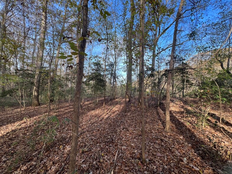 More Photos Of 0 Dickson Dr, Danielsville Land For Sale