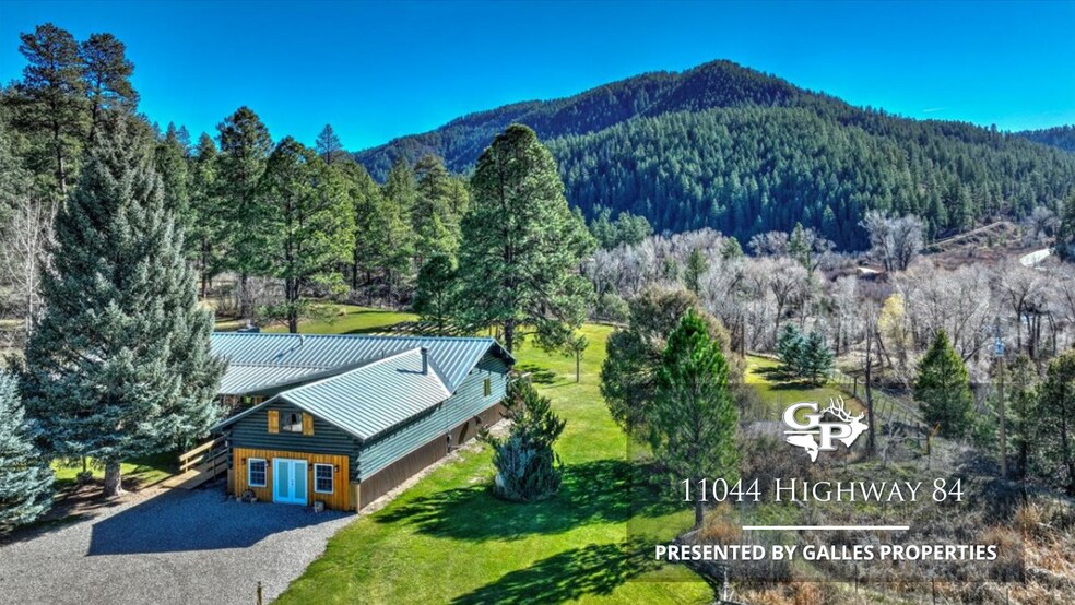 More Photos Of 11044 Highway 84, Pagosa Springs Specialty For Sale