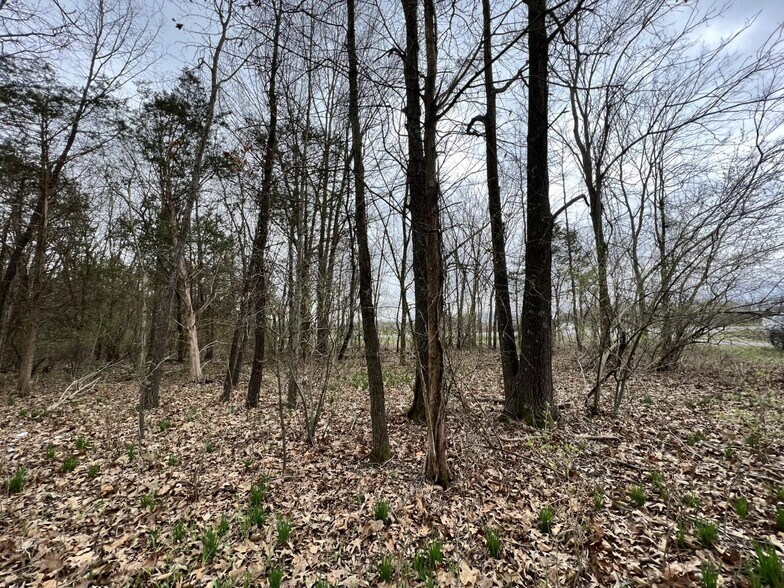 More Photos Of 00 US Highway 51, De Soto Land For Sale