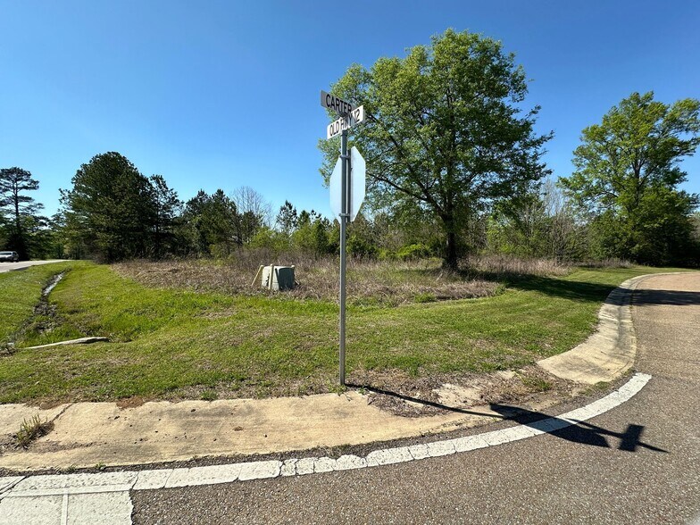 More Photos Of 11.73 acres W Side of Hwy 25 @ Carter Blvd, Starkville Land For Sale