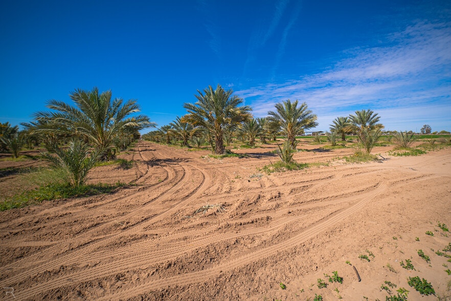 More Photos Of 17587 S Ave 3 1/2 E, Yuma Land For Sale