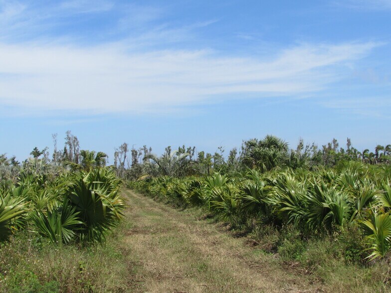 More Photos Of H. Stringfellow, Bokeelia Land For Sale