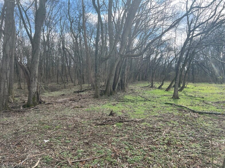 More Photos Of 915 1st Ave, Mount Pleasant Land For Sale