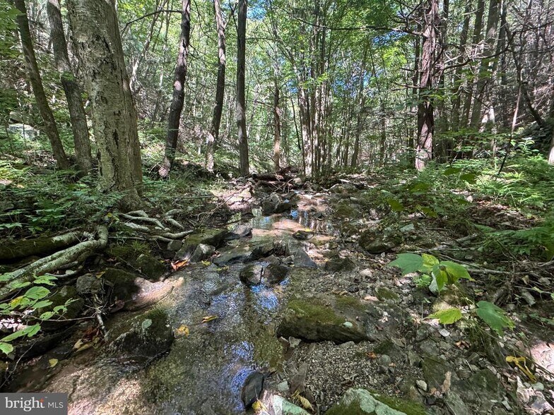 More Photos Of 0 Laurel Mountain Rd, Three Springs Land For Sale