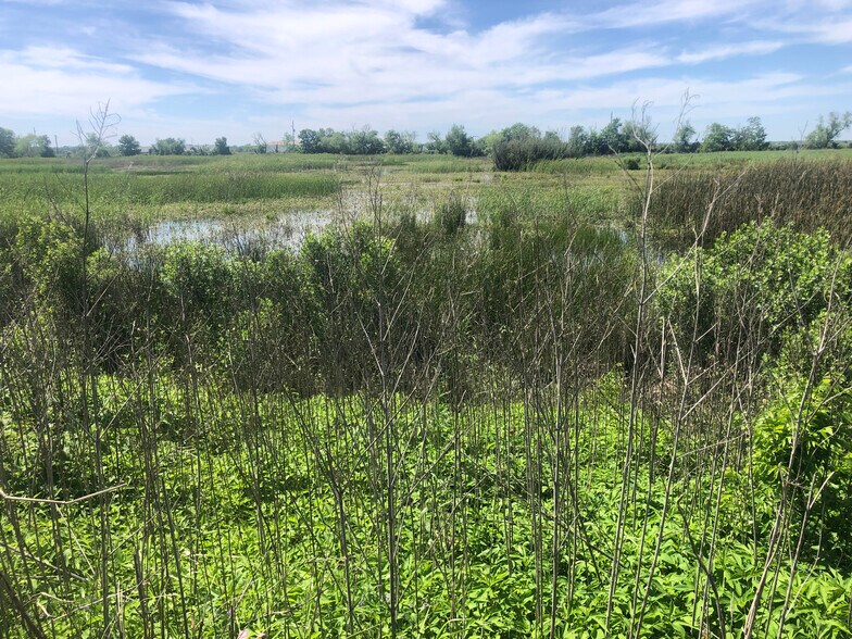 Primary Photo Of TBD County Road 210, Danbury Land For Sale