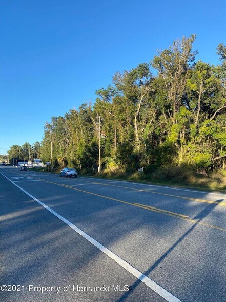 Primary Photo Of Ponce De Leon Ave, Brooksville Land For Sale