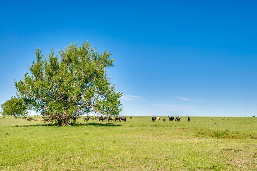 More Photos Of 1087 US Highway 377, Pilot Point Land For Sale