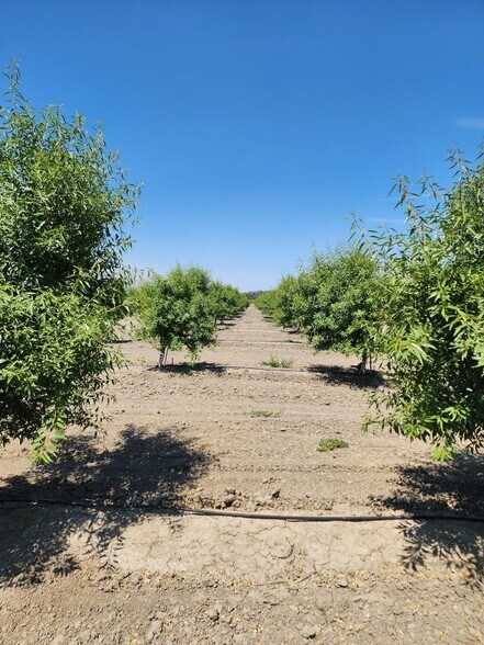 More Photos Of 0 0 Cranmore Rd., Robbins Land For Sale