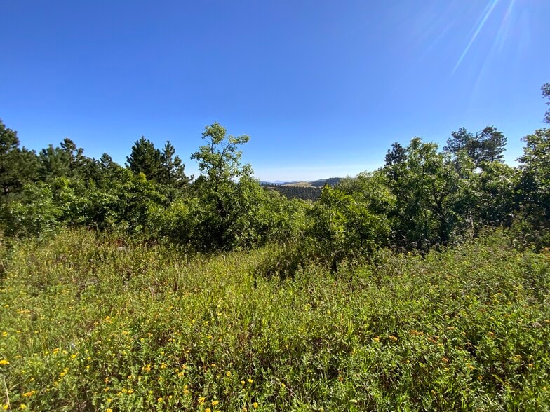 More Photos Of TBD Cutting Mine Rd., Lead Land For Sale