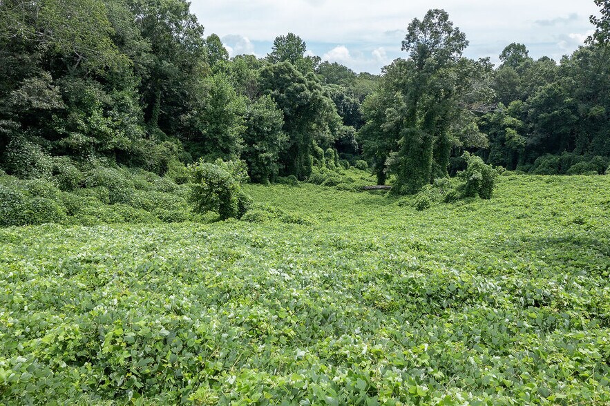 More Photos Of 1562 Central Ave, Demorest Land For Sale