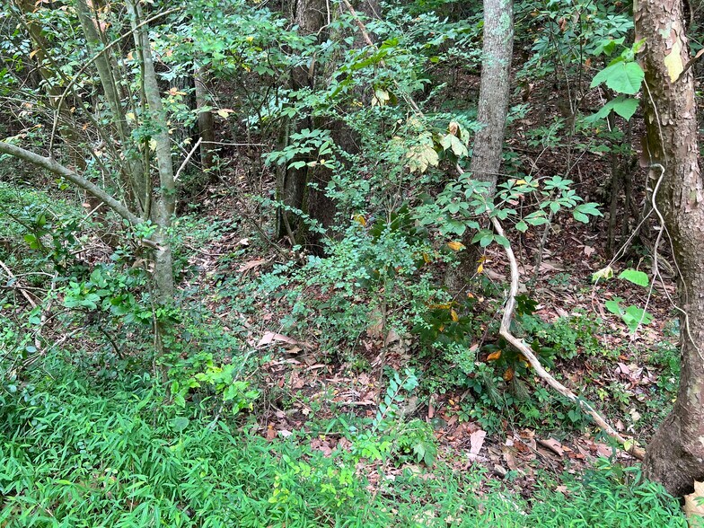 More Photos Of Pinyan, Ranger Land For Sale