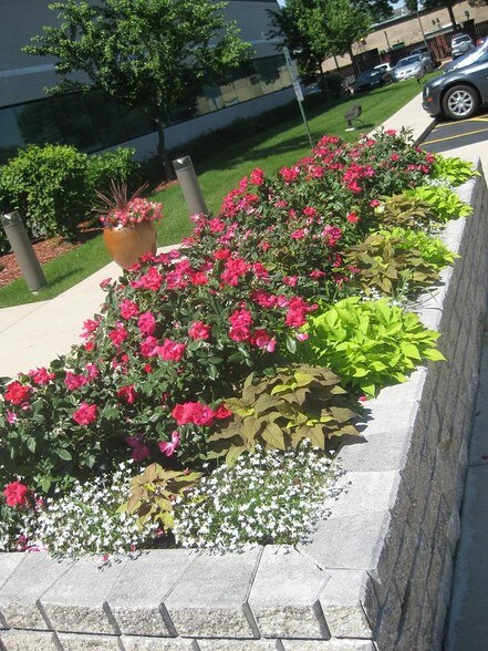 More Photos Of 1952 Mcdowell Rd, Naperville Business Park For Lease