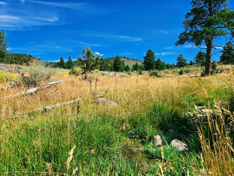 More Photos Of 32611 Tackman Rd, Prineville Land For Sale