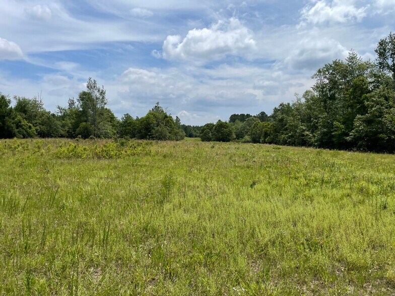 More Photos Of 229 Colbert Bridge Road, Windsor Land For Sale