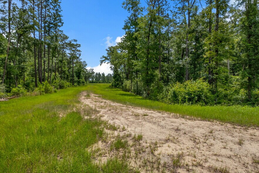More Photos Of 0 Crawfordville Hwy, Crawfordville Land For Sale