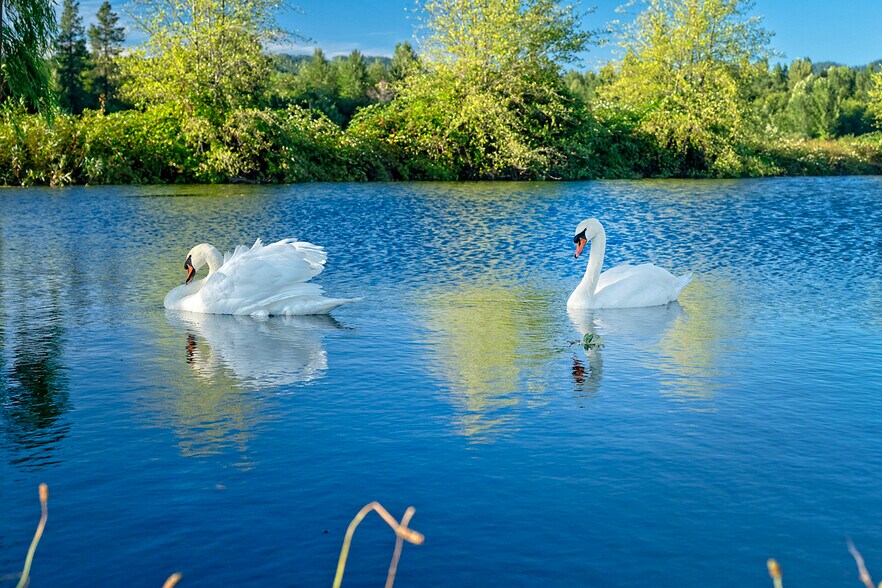 More Photos Of 3900 Holland Rd loop, Cave Junction Winery Vineyard For Sale