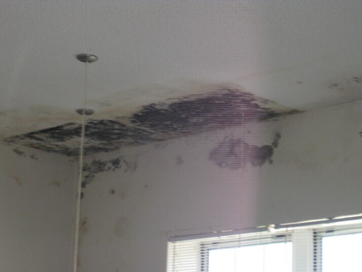 More Photos Of 205 S School Ave, Mahaska Apartments For Sale