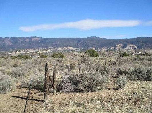 Primary Photo Of Cubita - Cuba Mesa Road, Cuba Land For Sale