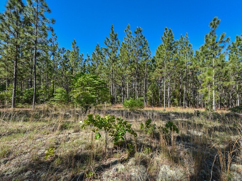 More Photos Of 224 Foxfire Rd, Aberdeen Land For Sale