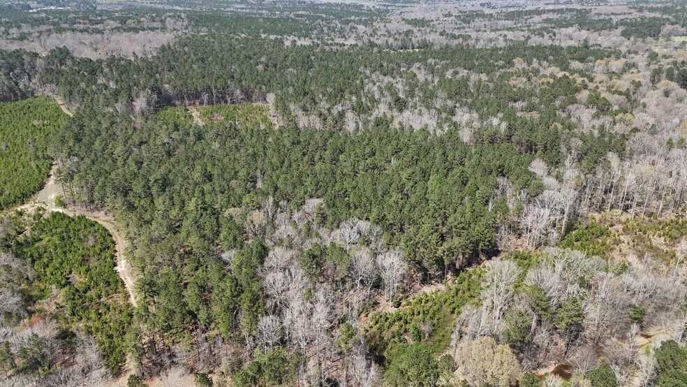 More Photos Of 132 Wessinger Ln, Columbia Land For Sale