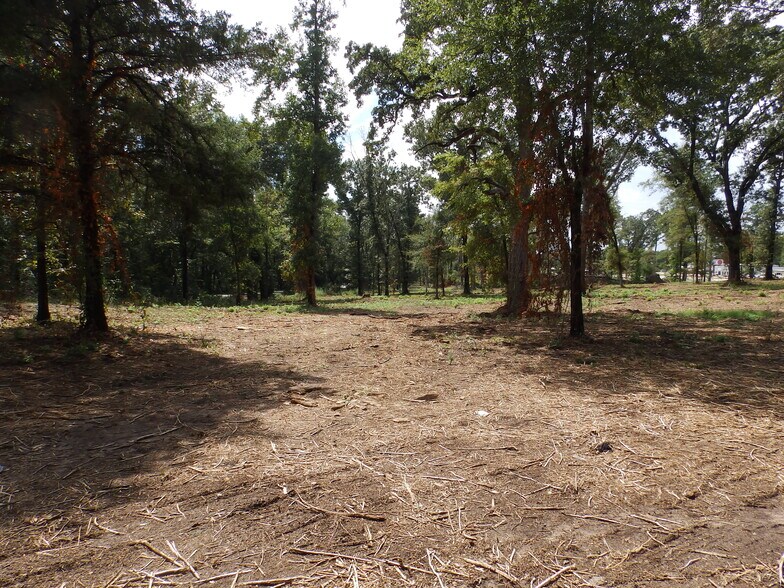 More Photos Of 16393 Highway 31, Tyler Land For Sale