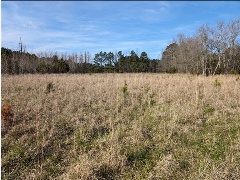 More Photos Of 0 Old Eden Rd, Eden Land For Sale