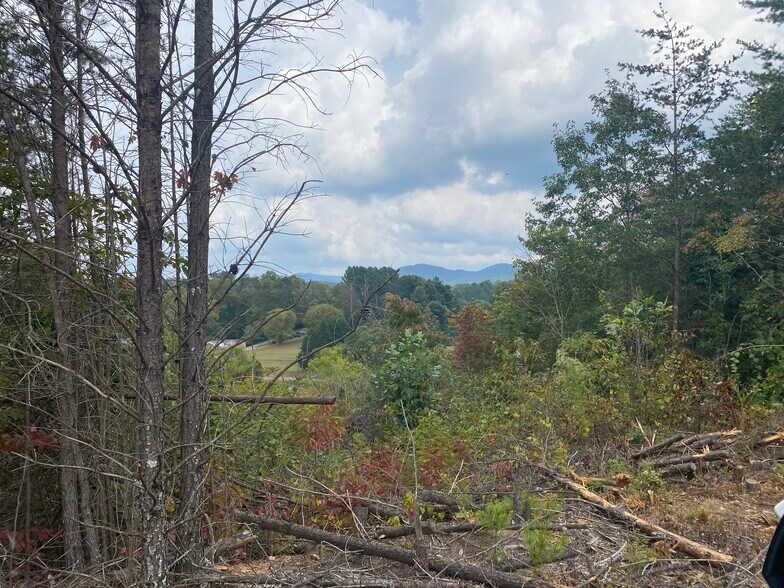 More Photos Of 8 First Ave, Ellijay Land For Sale