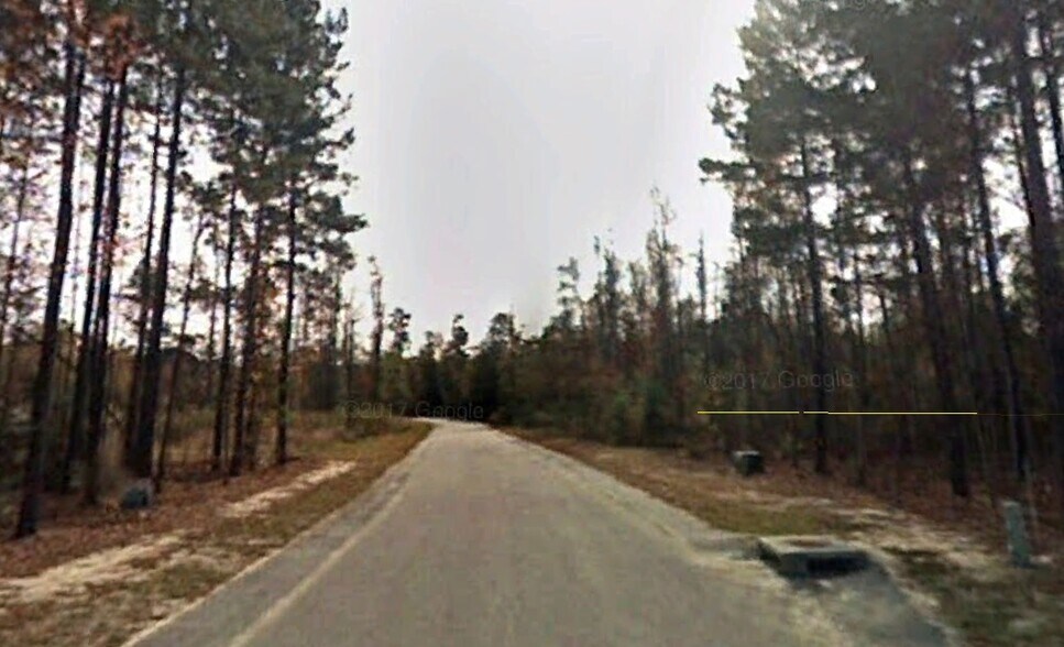 More Photos Of 205 Mt Hope dr, Orangeburg Land For Sale
