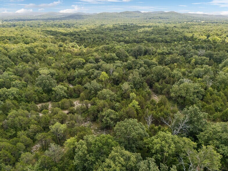 More Photos Of 7665 Shelbyville Pike, Christiana Land For Sale
