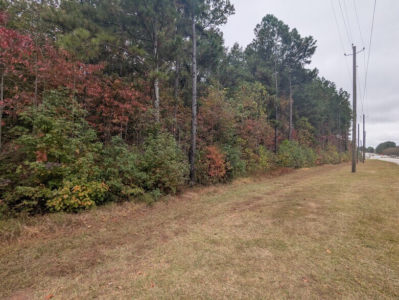 More Photos Of 1091 Level Creek Rd, Buford Land For Sale