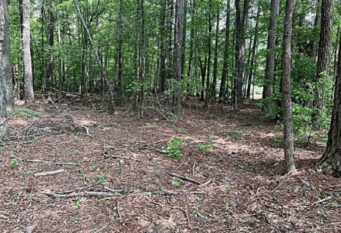Primary Photo Of Jimmie Mayfield Blvd Fayetteville, GA 30215 United States, Fayetteville Land For Sale