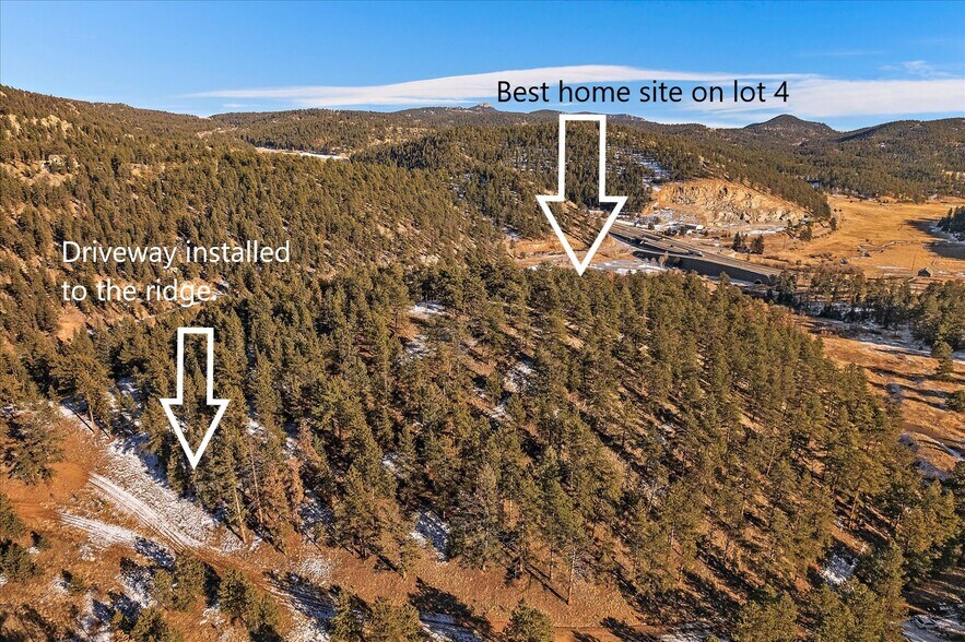 More Photos Of , Pine Land For Sale