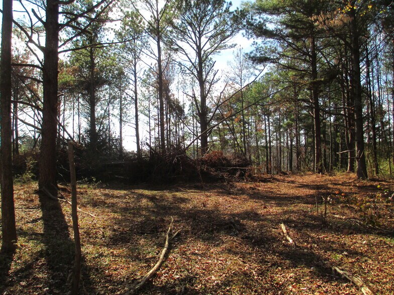 More Photos Of 760 Carlton Johnson rd, Waco Land For Sale