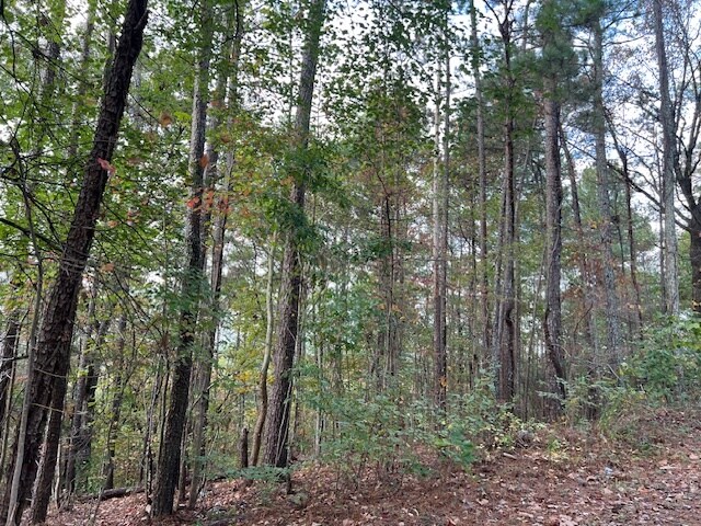 More Photos Of 100 Valley View Farm Rd SW, Cartersville Land For Sale