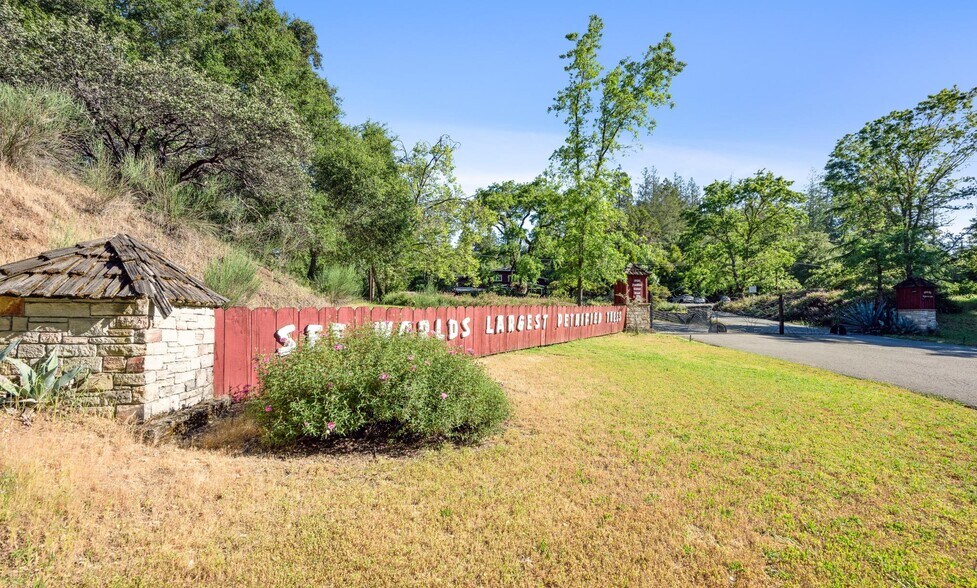 More Photos Of 4100 Petrified Forest Rd, Calistoga Land For Sale