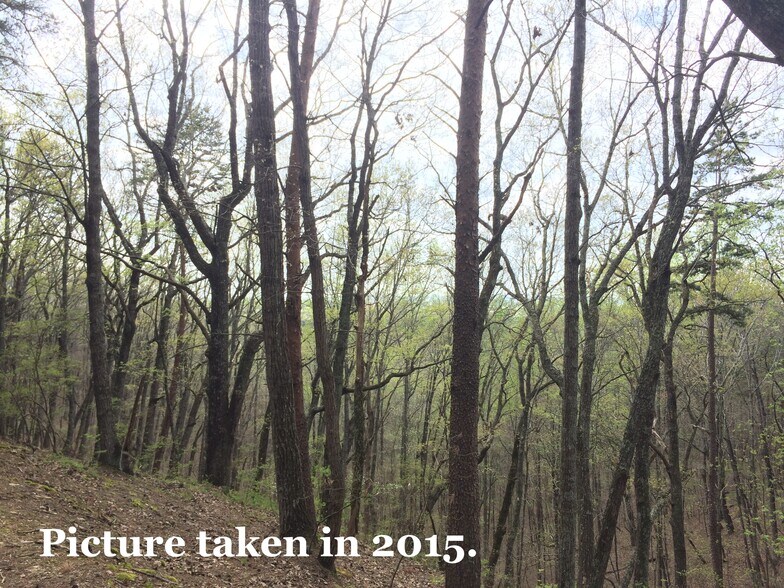 More Photos Of Pinyan, Ranger Land For Sale