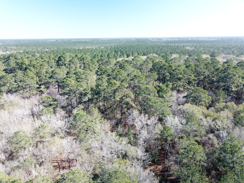 More Photos Of Corrigan Road, Vidor Land For Sale