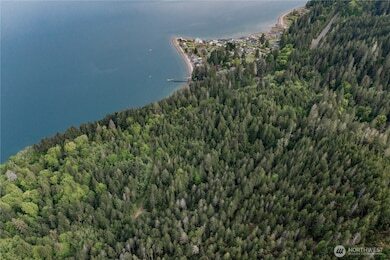 More Photos Of N US Hwy 101, Lilliwaup Land For Sale