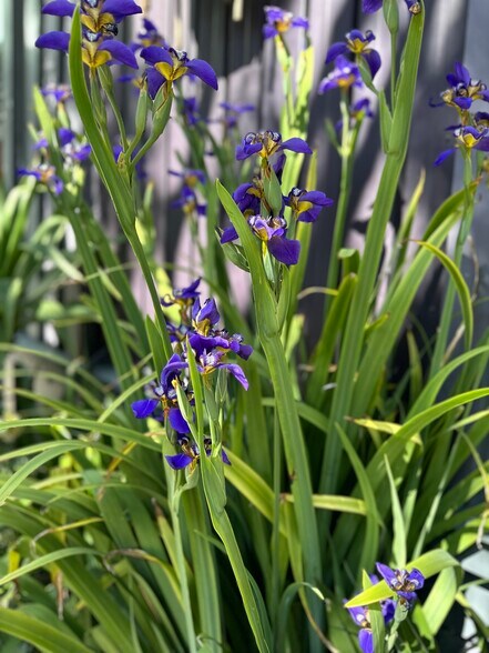 More Photos Of 111 Rhode Island St, San Francisco Showroom For Lease