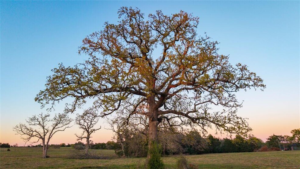 More Photos Of 1700 Co 216 rd, Giddings Land For Sale
