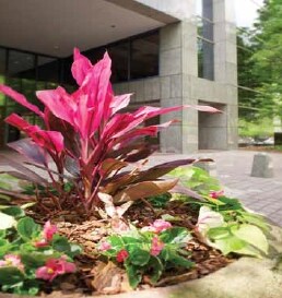 More Photos Of 100 Ashford Ctr N, Atlanta Office For Lease