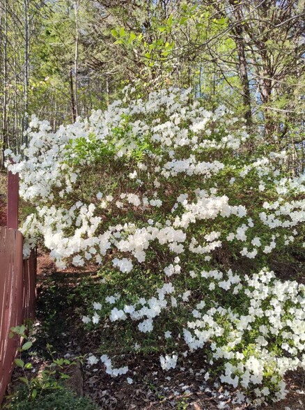 More Photos Of 84-86 Benson Rd, Travelers Rest Specialty For Sale