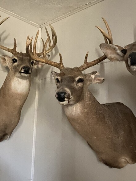 Primary Photo Of TBD S State Highway 25, Electra Land For Sale