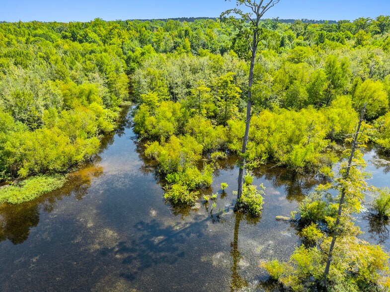 More Photos Of 7471 Highway 155, Saline Land For Sale