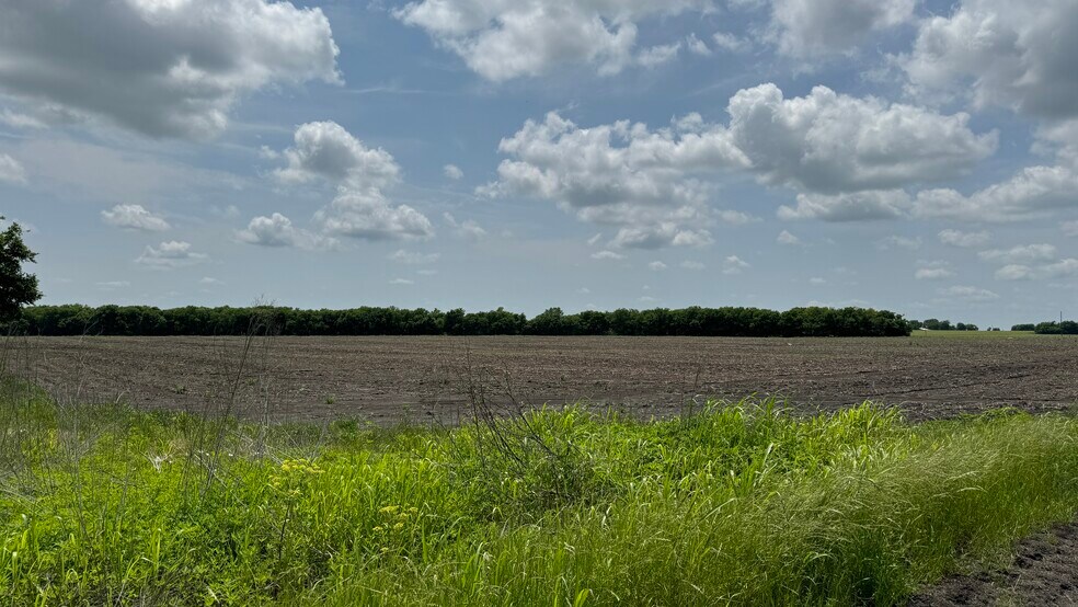More Photos Of 9024 FM 64, Pecan Gap Land For Sale