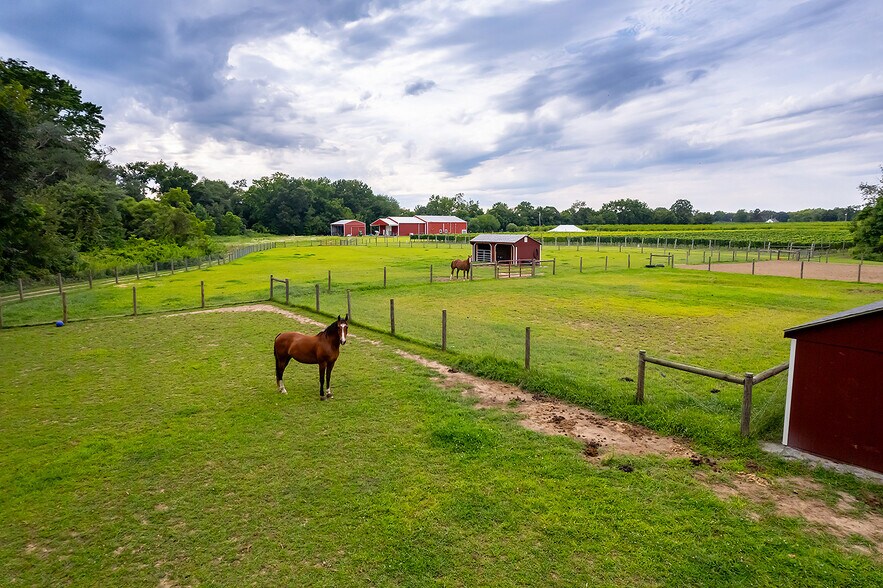 More Photos Of 314 Richwood Rd, Monroeville Winery Vineyard For Sale